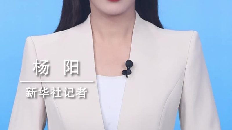 信息化建设与数字化转型：本质区别与路径解析